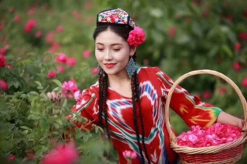 野生玫瑰，和田沙漠玫瑰花