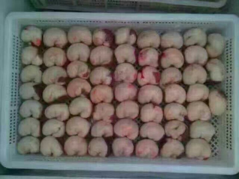 牛杂牛腰子