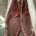 羊杂羊筒子