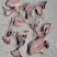 蘑菇一级3cm