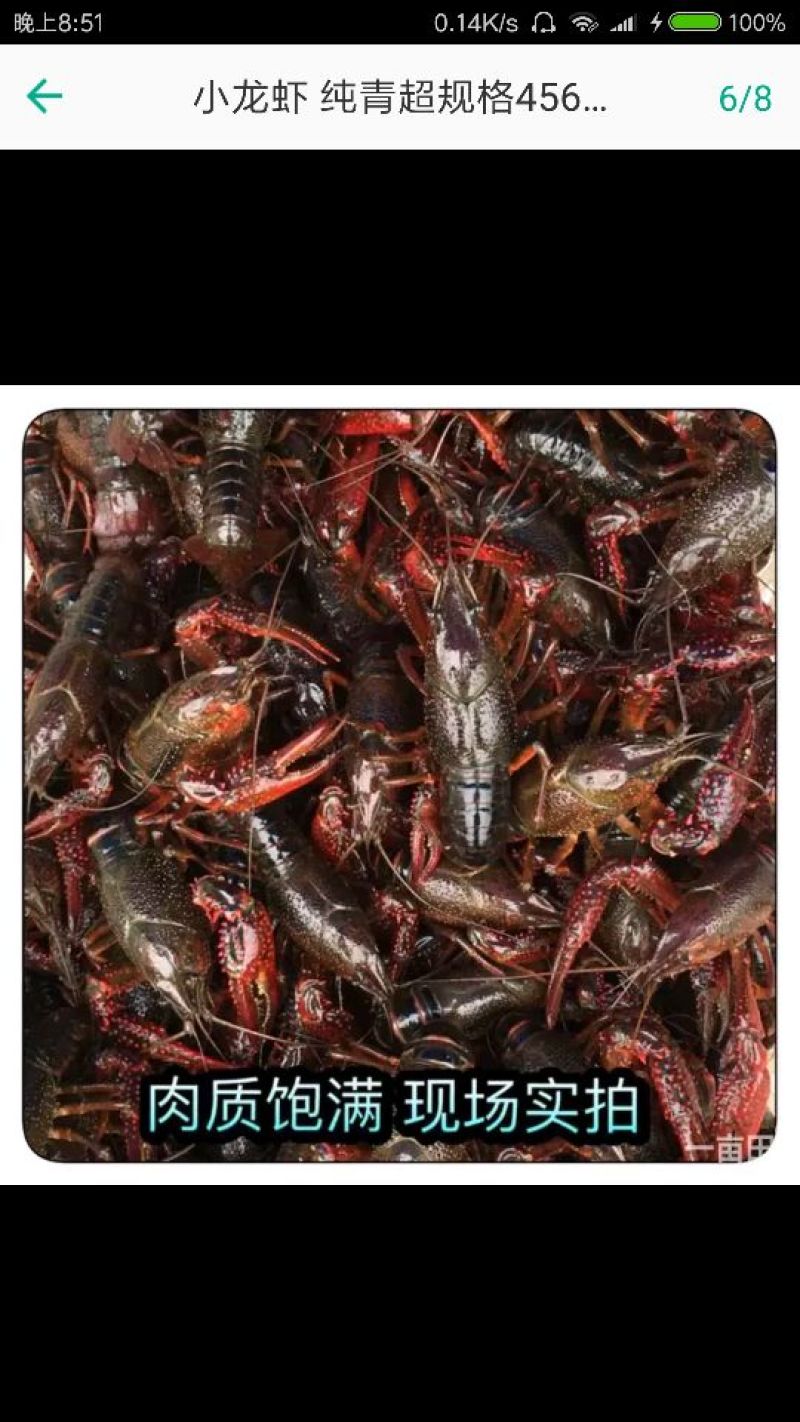 湖虾食用4-6钱（20-30克）活虾藕塘套养