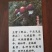 大球盖菇酒红菇菌种，研究所专业研发，免费提供技术指导，