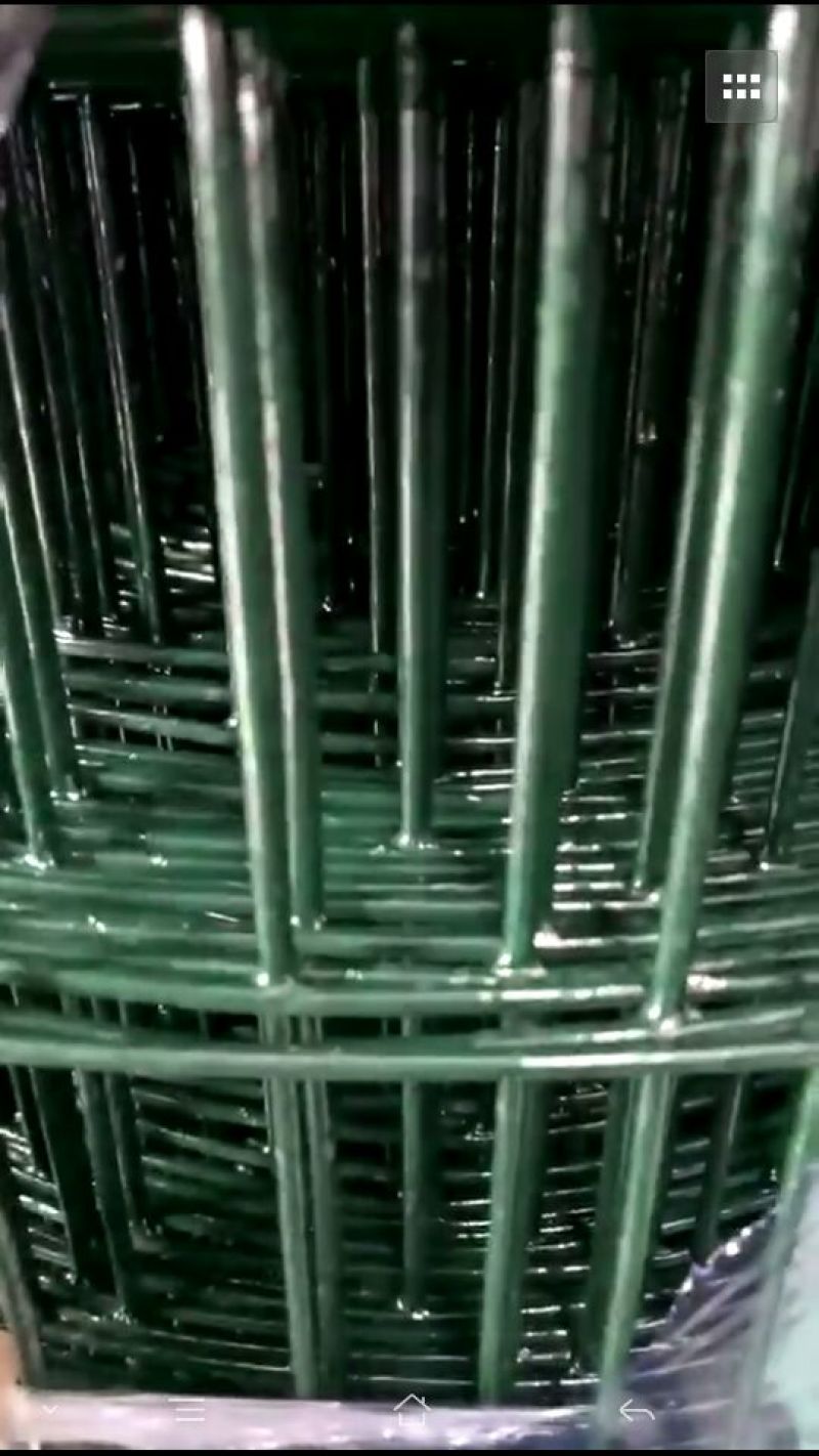 荷兰网硬塑养鸡围栏网养殖家禽围网圈地铁丝网围栏