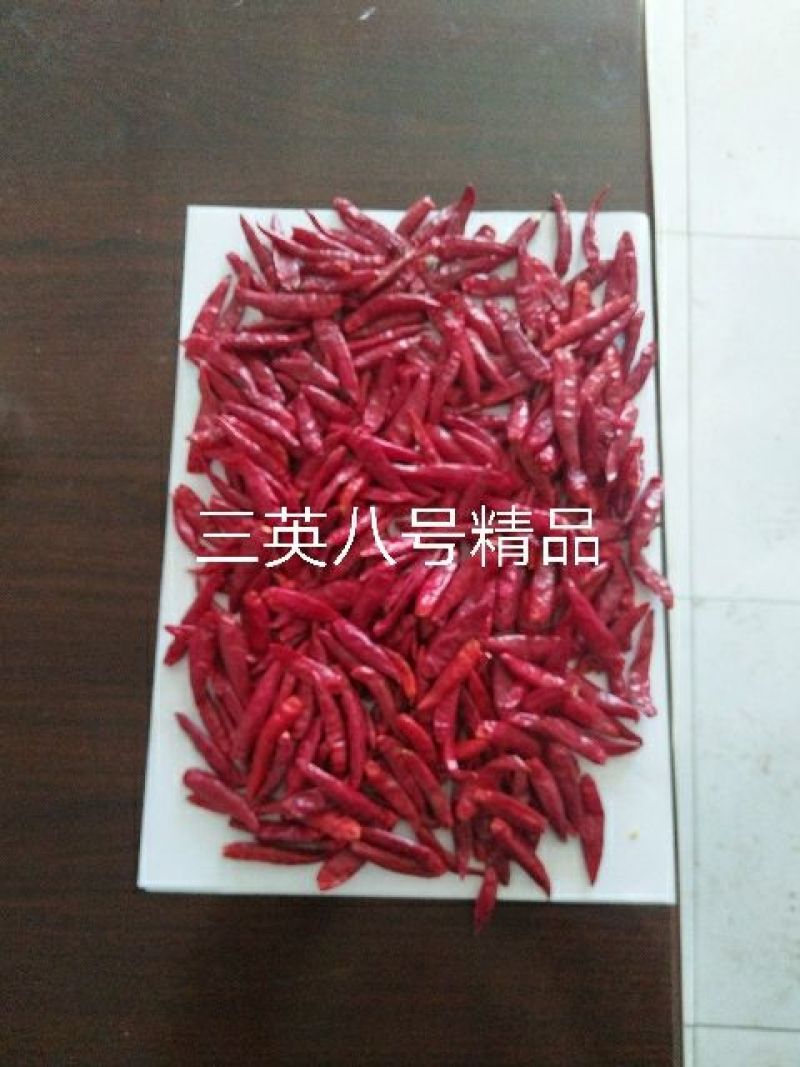 三樱椒八号精品9成干以上