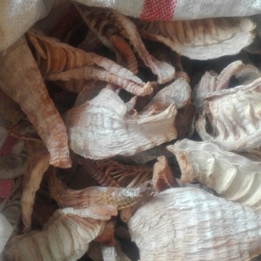 水煮笋干淡干笋晒干，烟笋水煮笋干