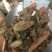 郁金无硫磺熏蒸一公斤起批