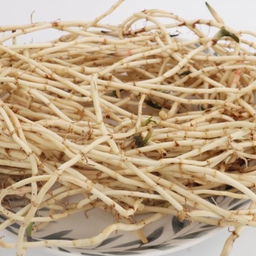鱼腥草纸盒