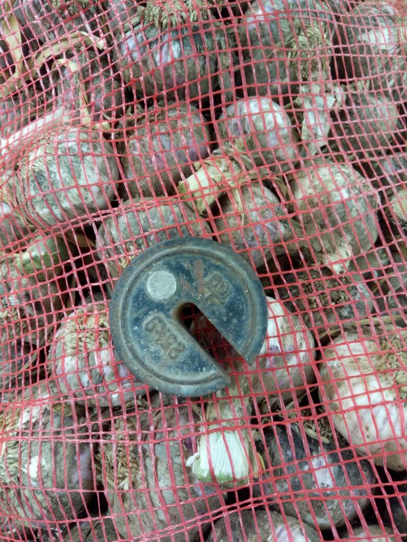 大蒜混级统货鲜蒜