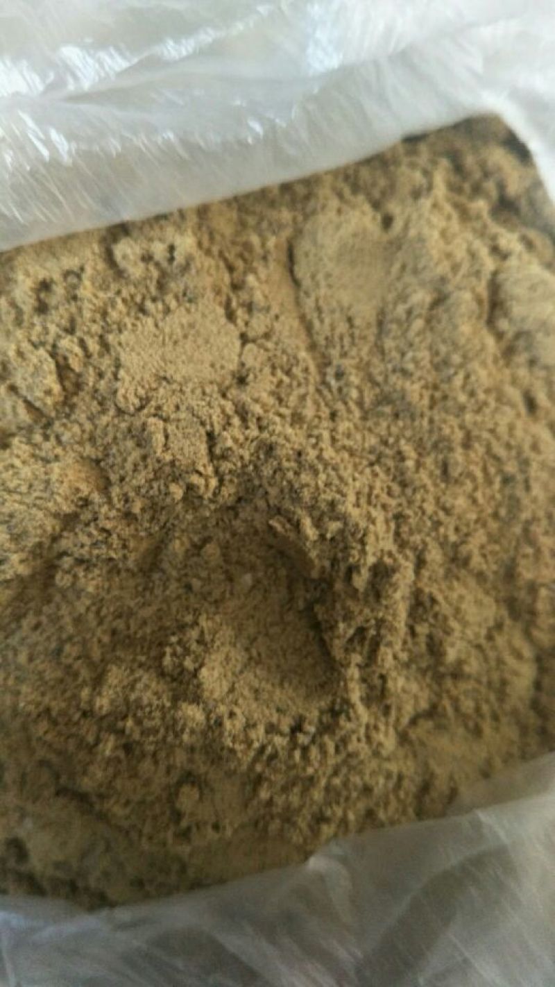 鱼粉