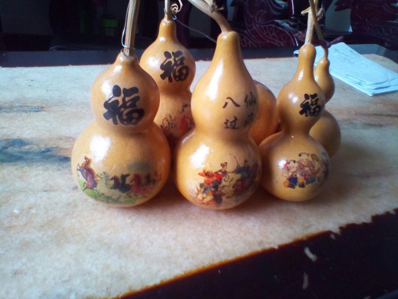 福禄葫芦10~15cm