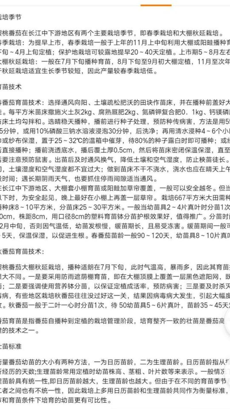 黑番茄种子黑珍珠樱桃番茄种子