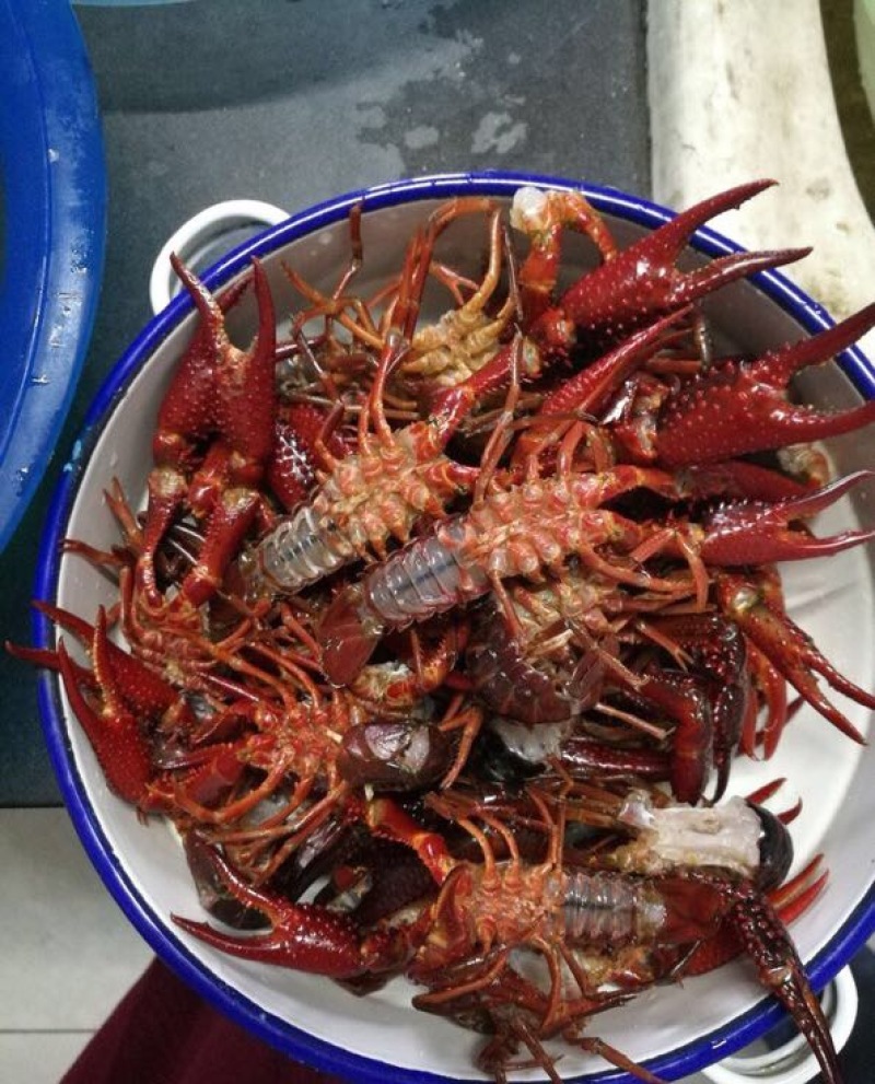 龙虾38-45/kg，大湖养殖，天然美食，口感不错。