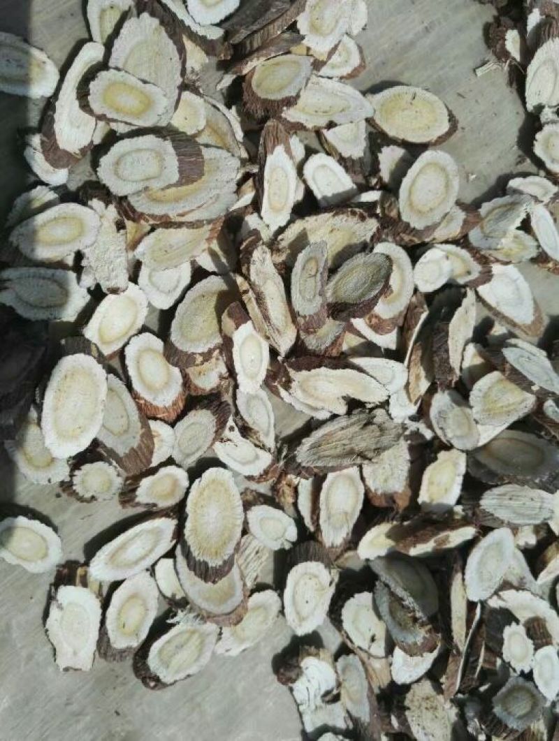 甘肃野生红芪切片500g包邮，自然晒干，色泽鲜