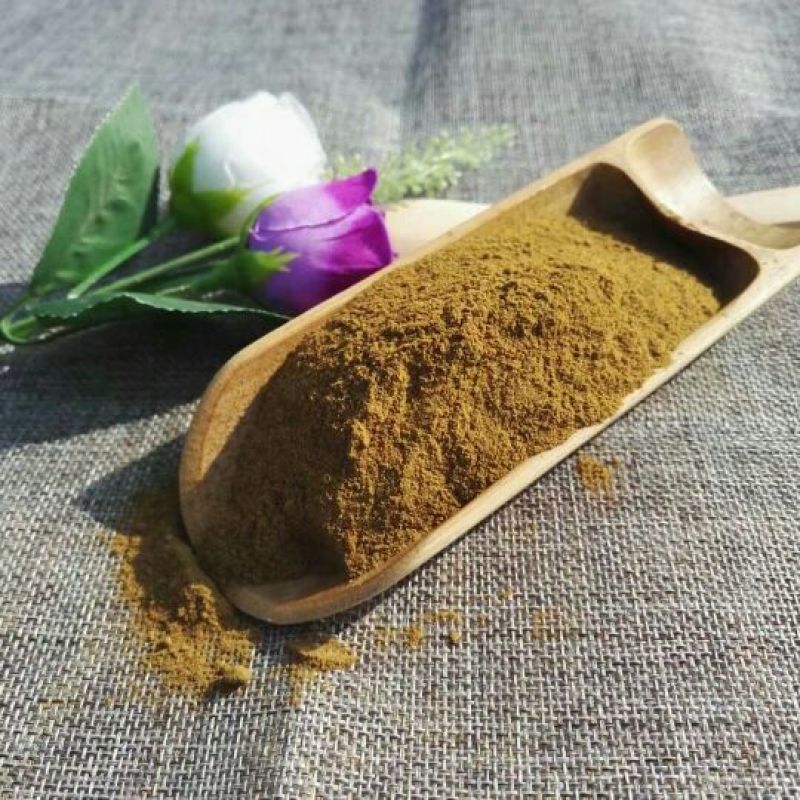 甘肃马蹄大黄粉500g包邮色泽鲜亮含量高厂家批发