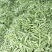 扁青芸豆15cm以上
