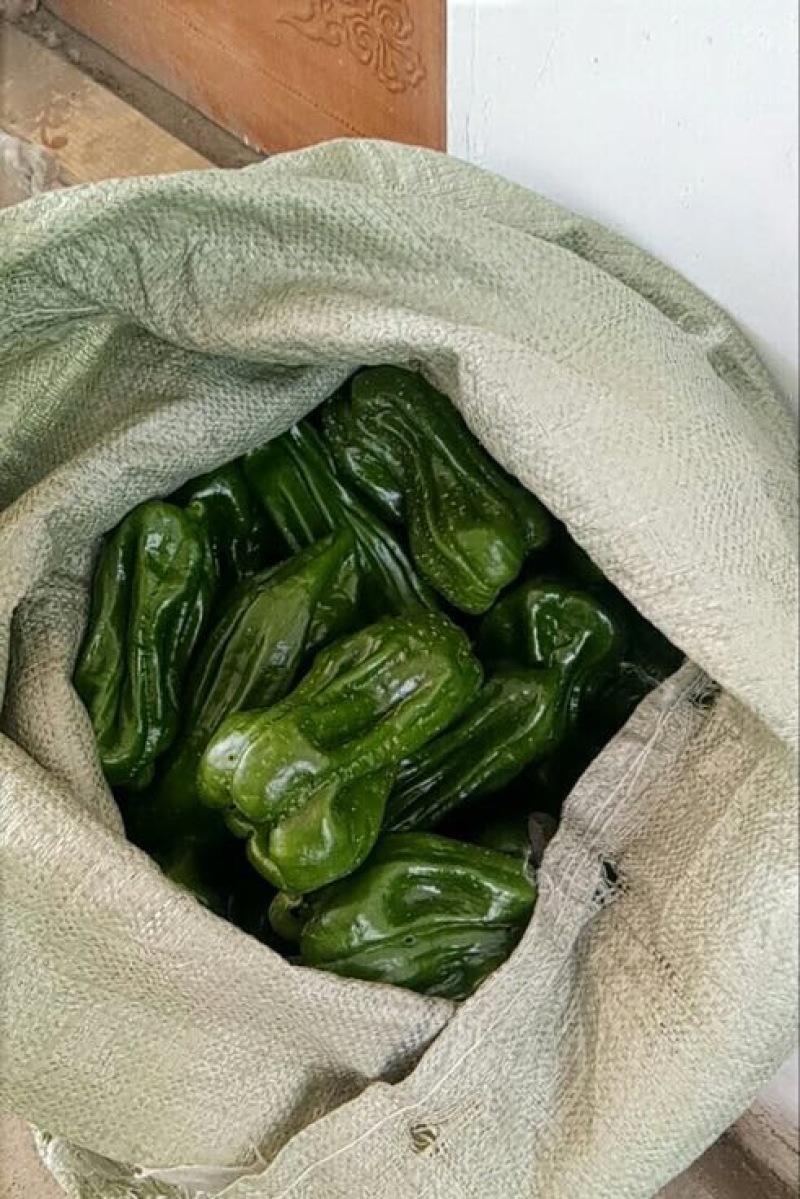 麻辣椒10~15厘米中辣青，质量好，刚刚上市