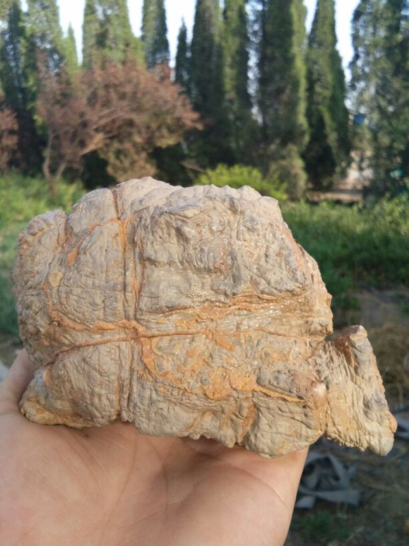 毛石上水石，奇石鱼缸，盆景石……