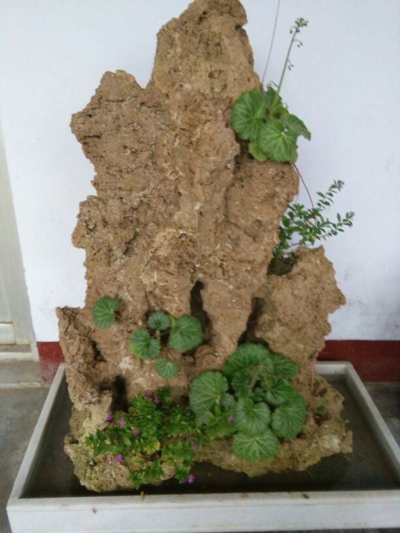 毛石上水石，奇石鱼缸，盆景石……