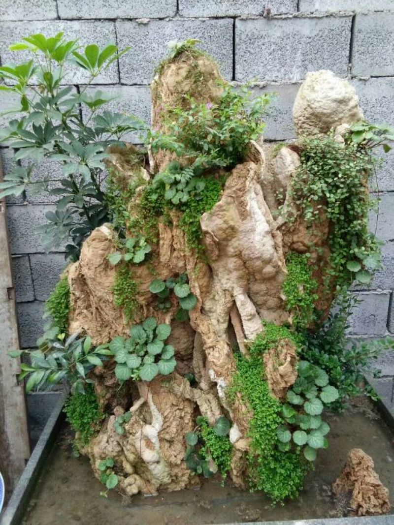 毛石上水石，奇石鱼缸，盆景石……