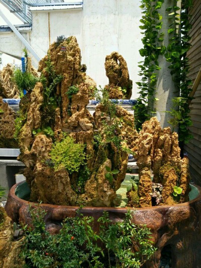 毛石上水石，奇石鱼缸，盆景石……