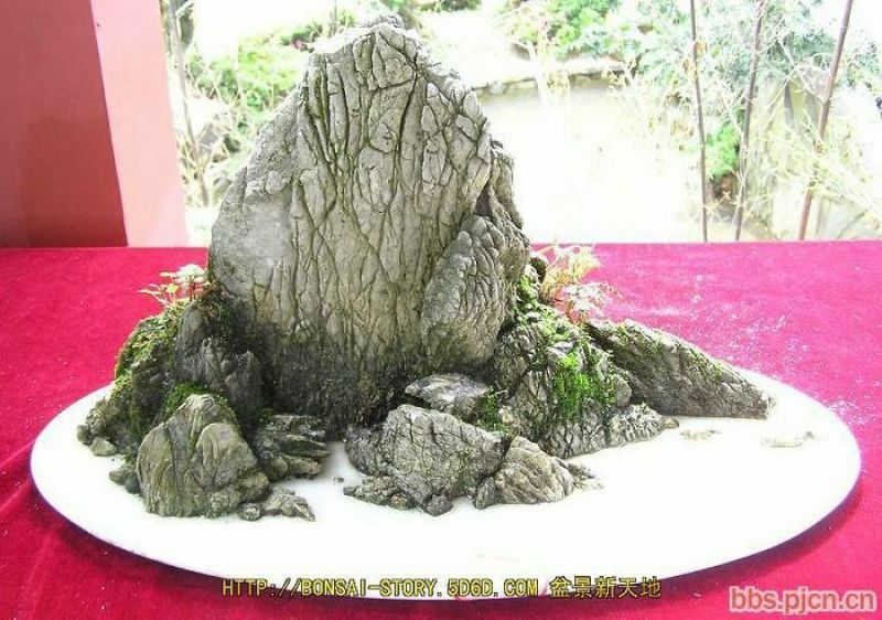 毛石上水石，奇石鱼缸，盆景石……