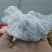 毛石上水石，奇石鱼缸，盆景石……