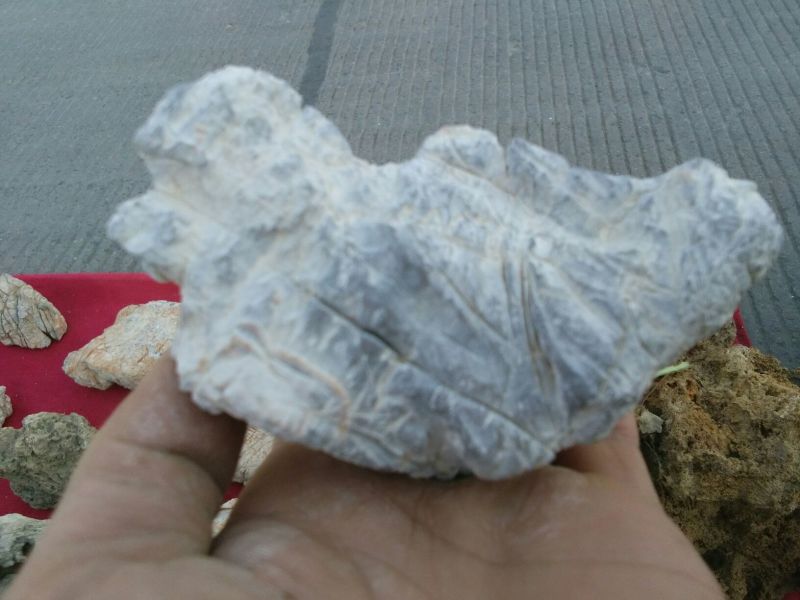 毛石上水石，奇石鱼缸，盆景石……