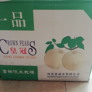 梨250~300g纸箱