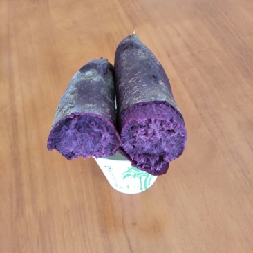 紫薯苗15~25cm