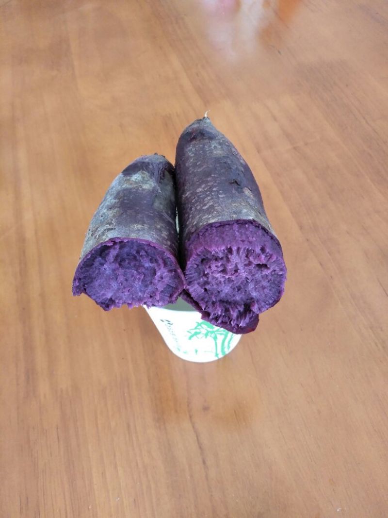 紫薯苗15~25cm