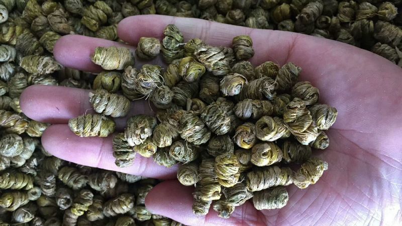 铁皮石斛浙江干货胶质好1斤起包邮