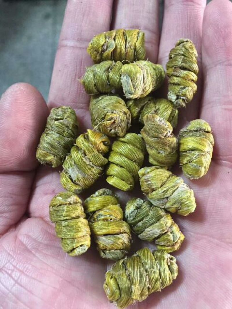 铁皮石斛浙江干货胶质好1斤起包邮