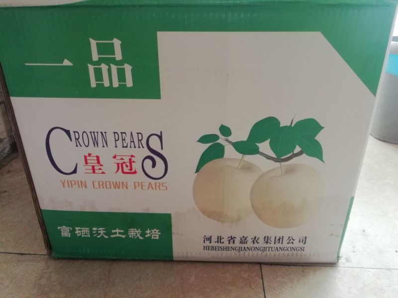 梨400~450g纸箱