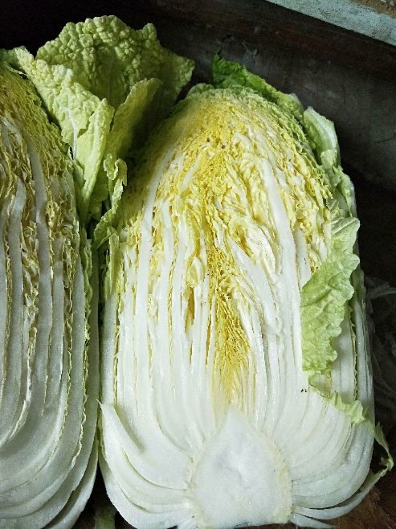 韩国黄心白菜净菜7斤以上