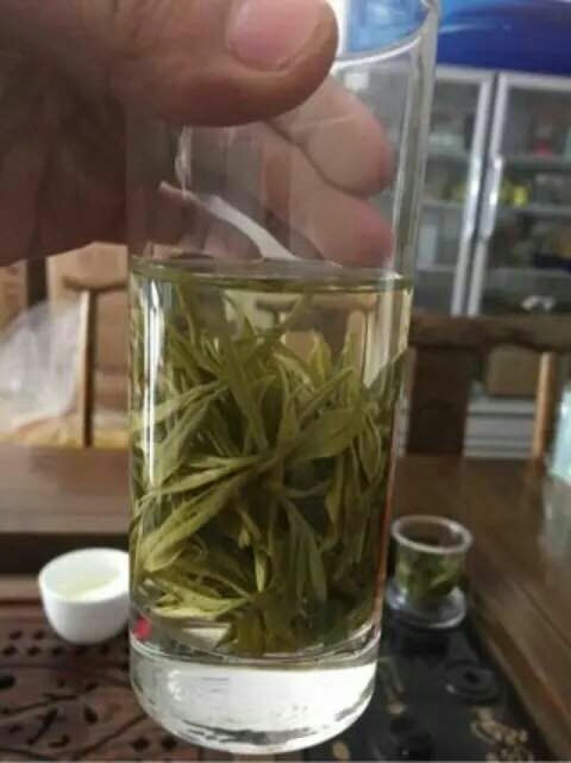 黄山毛峰茶叶自家茶园