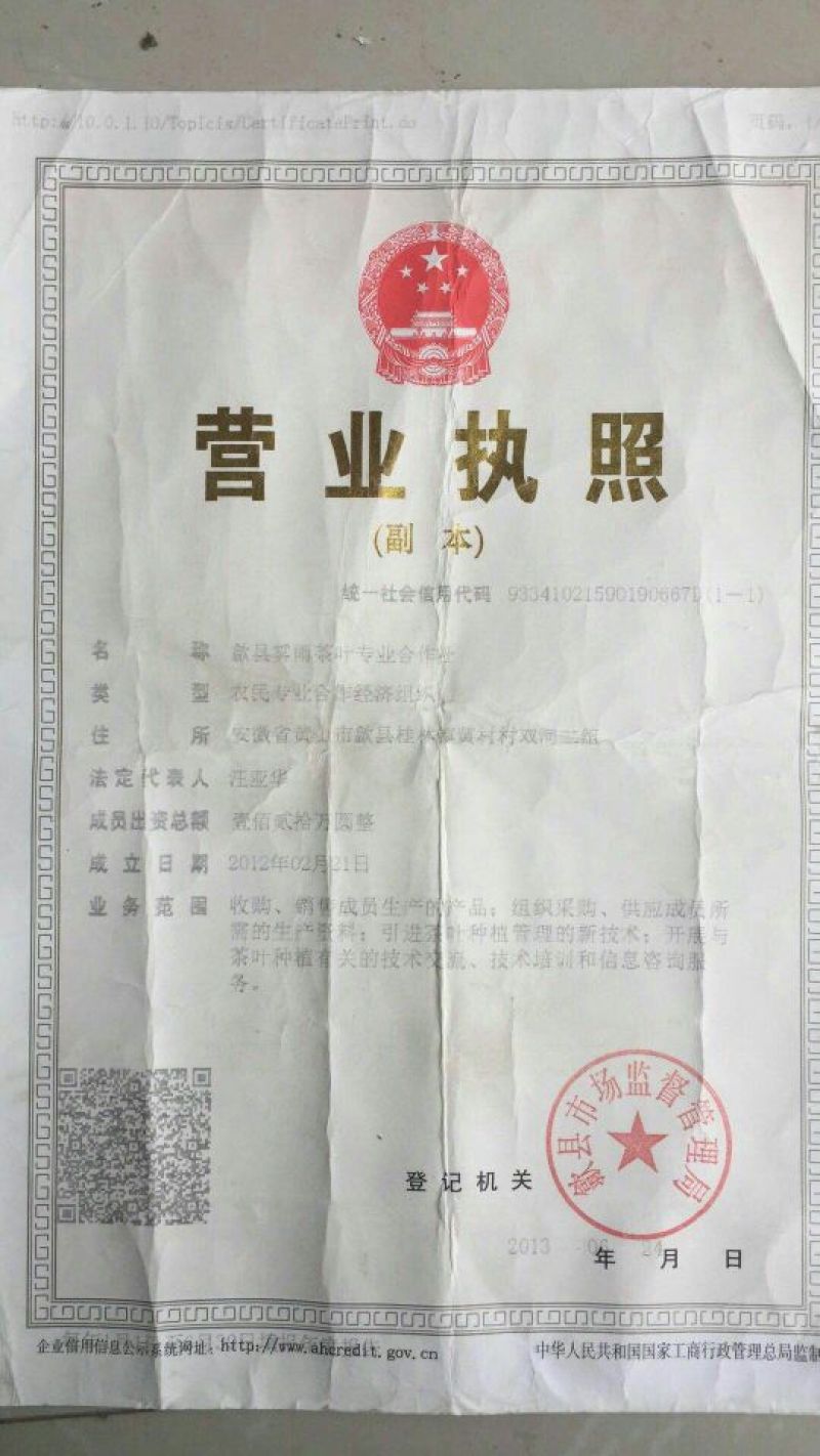 黄山毛峰茶叶自家茶园