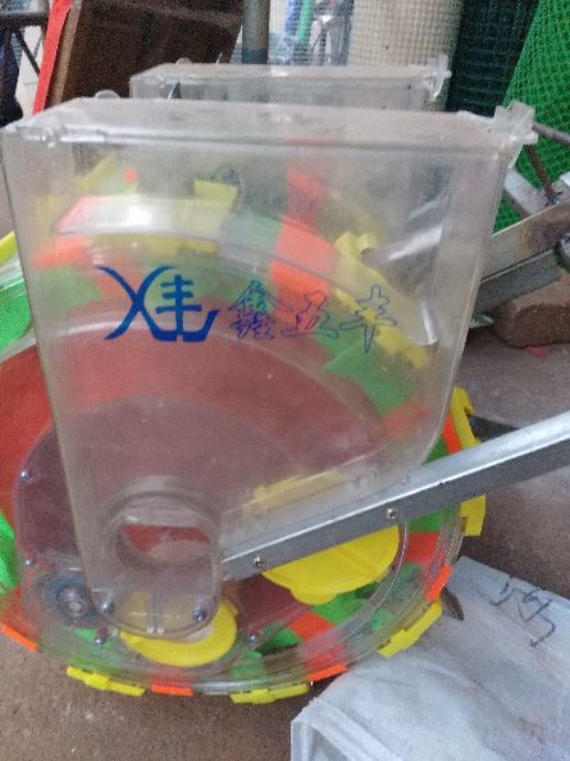 广东徐闻新苗苟葛白地瓜应季节凉薯沙苟
