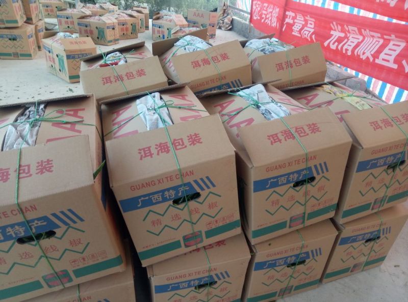 青椒，余干椒，杭椒等﹥20厘米中辣黄