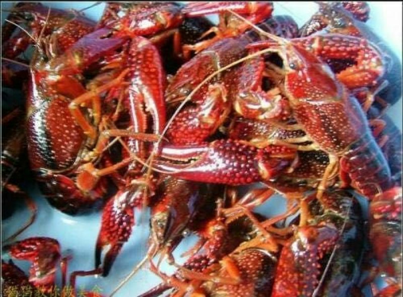 龙虾26~30只/kg