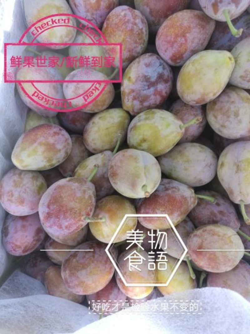 法兰西梅40~50mm/西梅/新梅/新疆法兰西梅