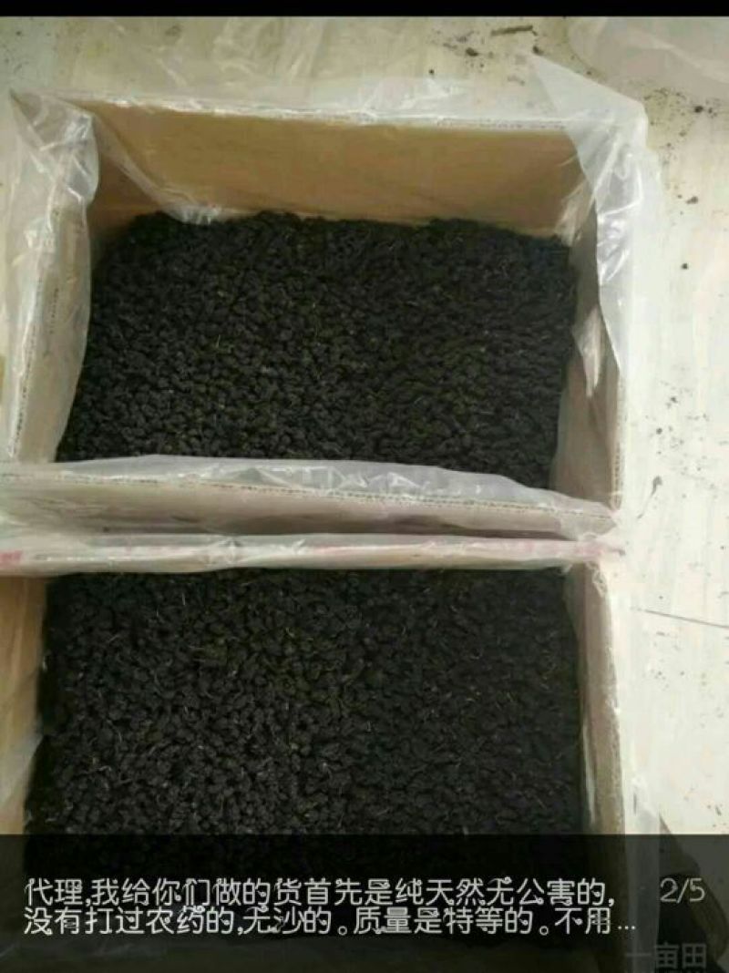 桑葚干无沙无尘，养生之道首选五斤起发