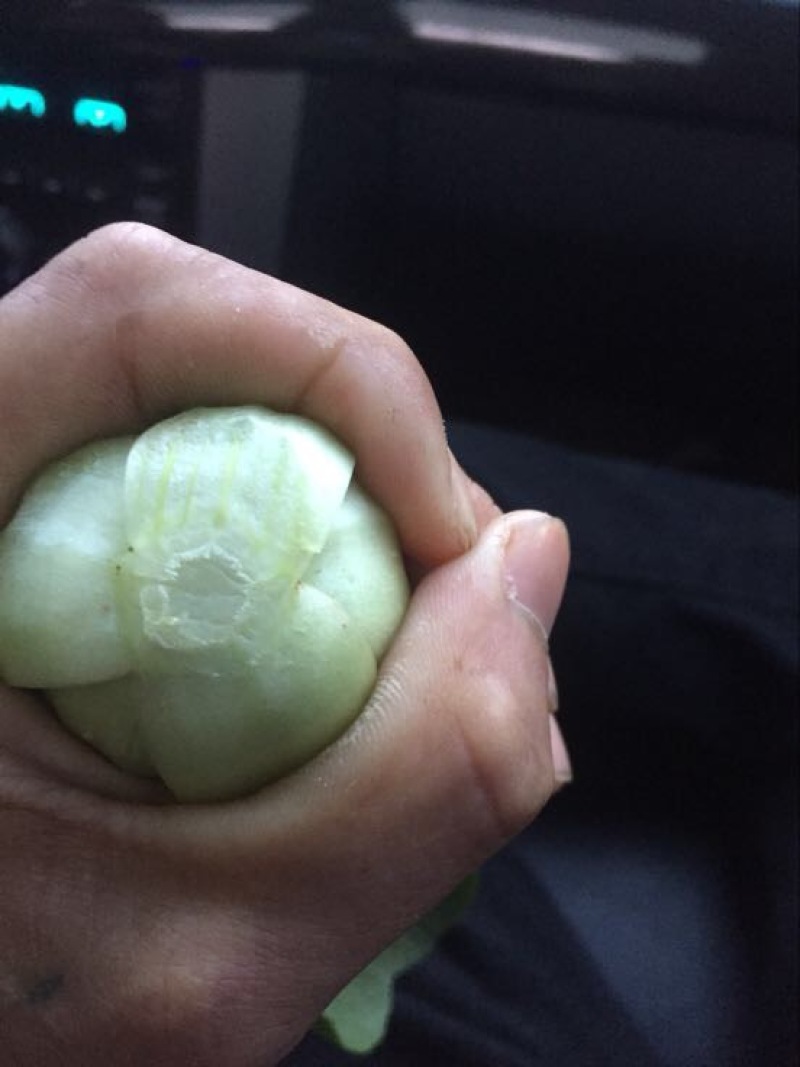 小油菜2两以上山东上海青/产地发货品质好