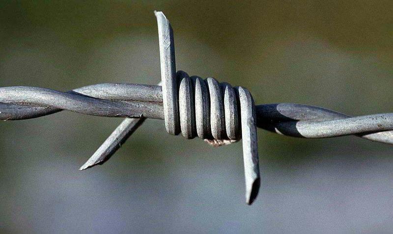 铁丝网防盗网铁蒺藜围栏网隔离防护网