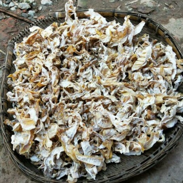 干竹笋9cm以下