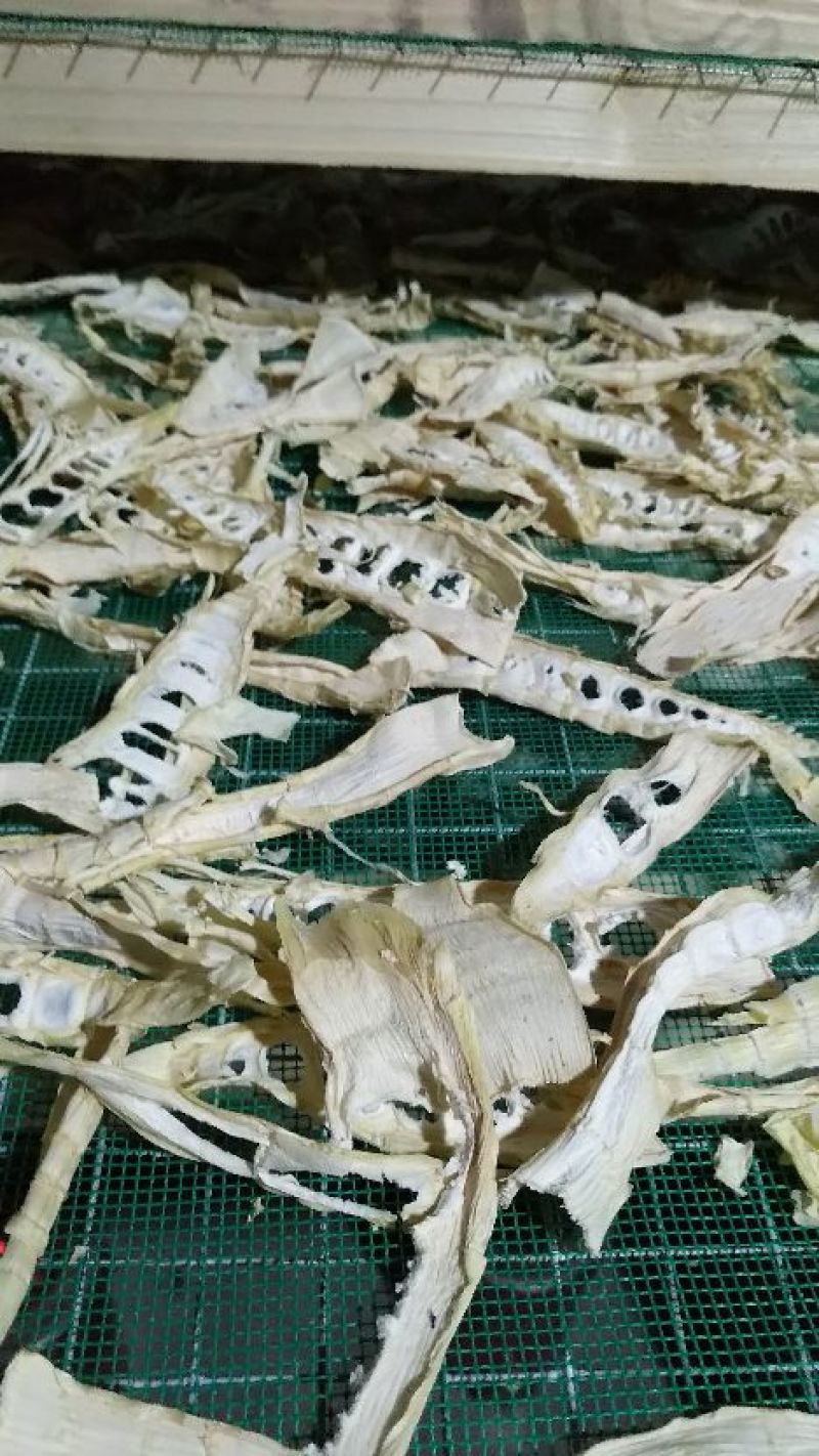 苦笋10cm以下