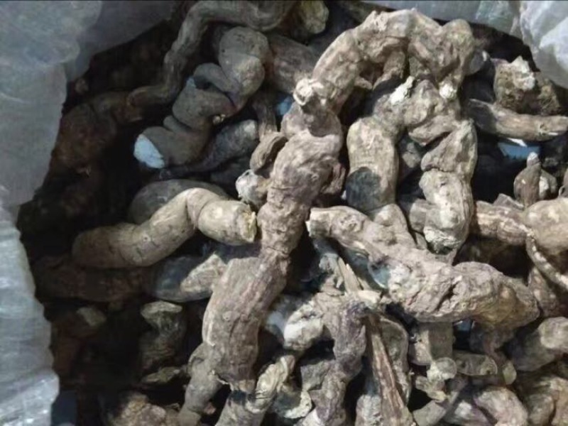 木防己粉