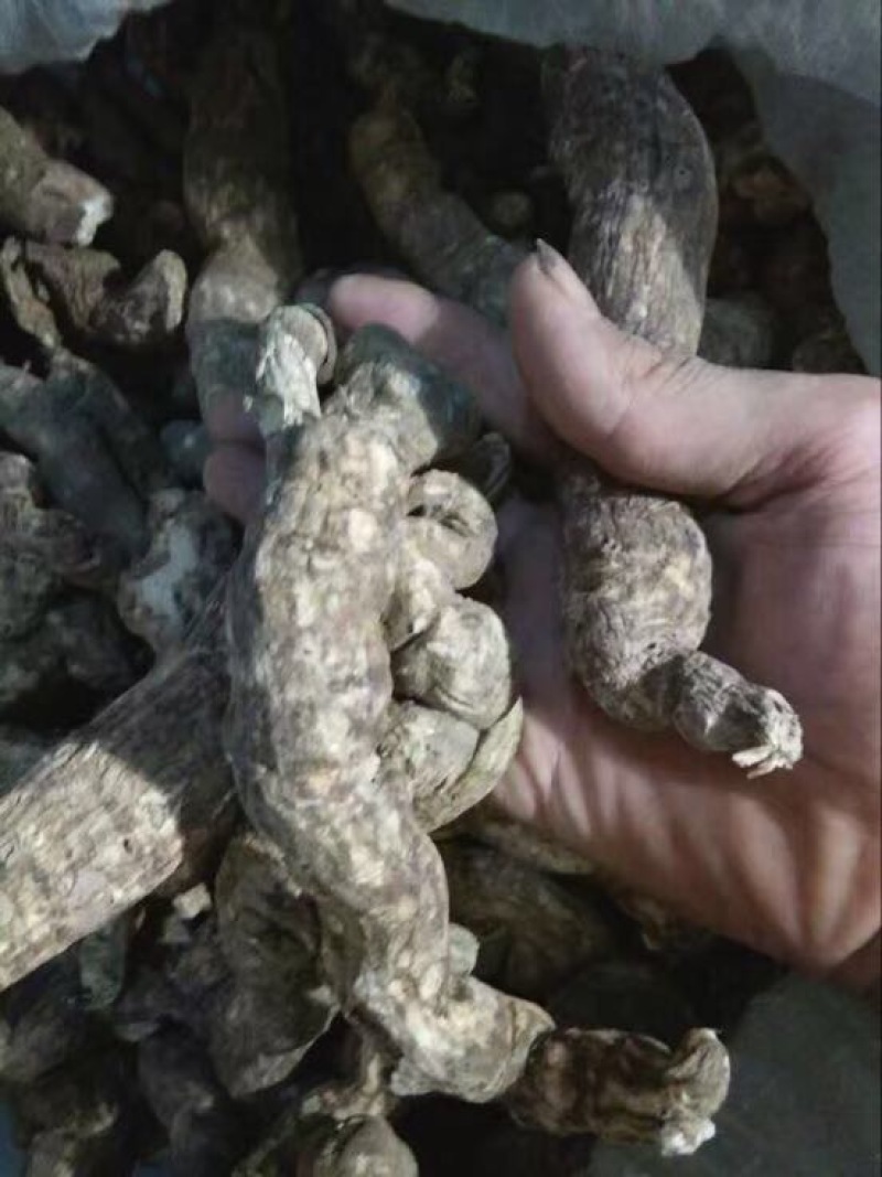 木防己粉