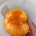 金太阳杏优质货源，产地直供！！！！！！