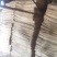 杨木板材批发厂家生产欢迎大家前来采购，量大从优价格优惠
