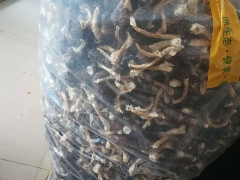 食用菌，蘑菇干，干蘑菇，野生菌，赤松茸干货